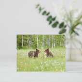 Twee jonge bruine beren in het Finse briefkaart (Staand voorkant)