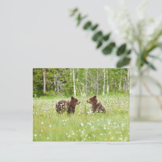 Twee jonge bruine beren in het Finse briefkaart (Staand voorkant)