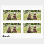 Twee jonge bruine beren sticker (Vel)