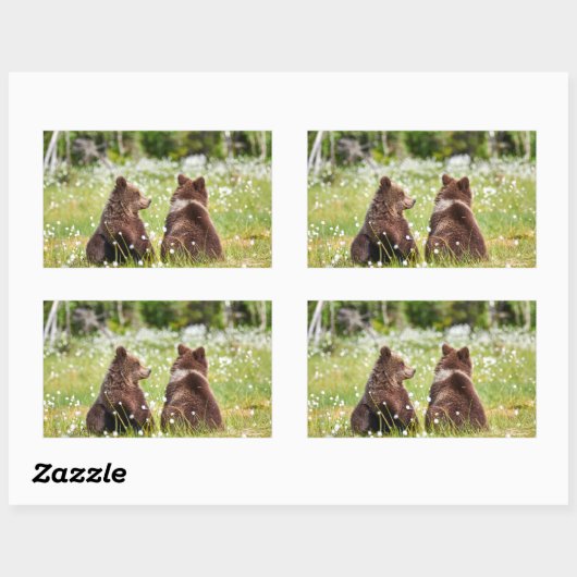 Twee jonge bruine beren sticker (Vel)