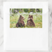 Twee jonge bruine beren sticker (Tas)