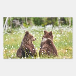 Twee jonge bruine beren sticker