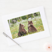 Twee jonge bruine beren sticker (Envelop)