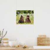 Twee jonge bruine beren zitten poster (Keuken)