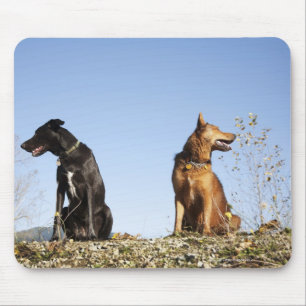 Twee jonge honden kijken in tegengestelde richting muismat