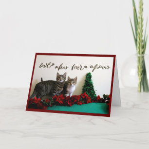 Twee jonge Kittens met kerstdecor Feestdagen Kaart