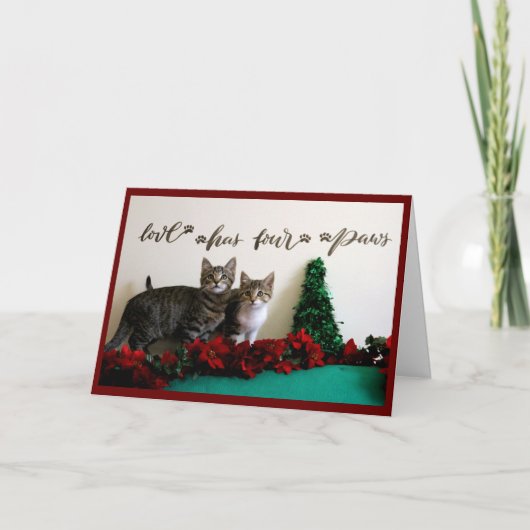 Twee jonge Kittens met kerstdecor Feestdagen Kaart (Voorkant)