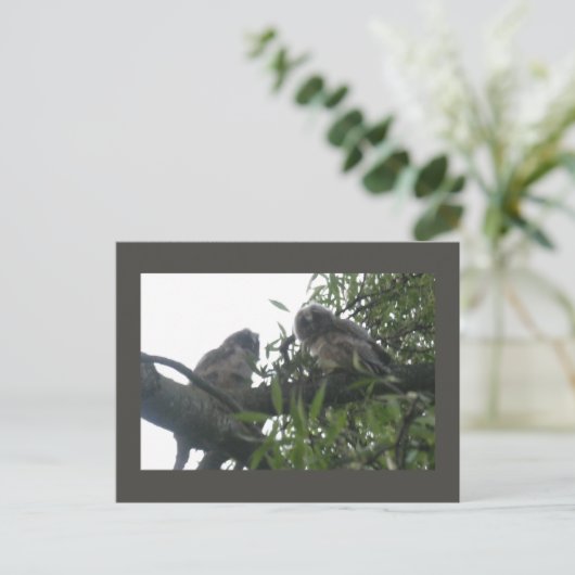 Twee Jonge Long-Ear Uilen DIY Briefkaart (Staand voorkant)