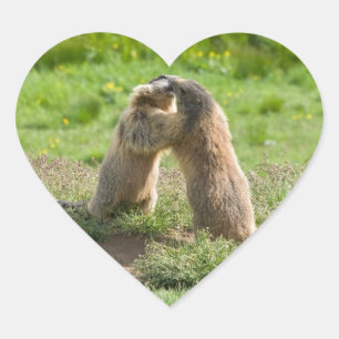 twee jonge marmos hart sticker