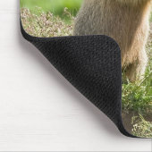 twee jonge marmos muismat (Hoek)