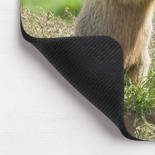 twee jonge marmos muismat (Hoek)