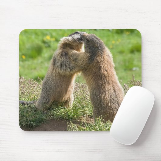 twee jonge marmos muismat (Met muis)