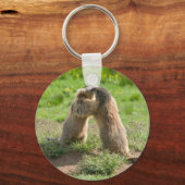 twee jonge marmos sleutelhanger (Voorkant)