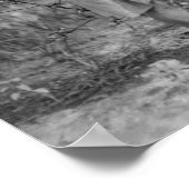 Twee jonge meisjes die katoenfoto maken poster (Hoek)