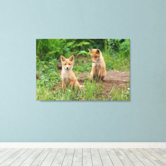 Twee jonge rode koeien in de Natuur Canvas Afdruk (Insitu (Houten vloer))