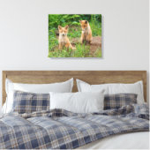 Twee jonge rode vossen in de natuur canvas afdruk (Insitu (Slaapkamer))