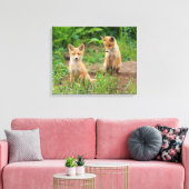 Twee jonge rode vossen in de natuur canvas afdruk (Insitu (Woonkamer))