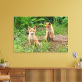 Twee jonge rode vossen in de natuur canvas afdruk (Insitu (Woonkamer))