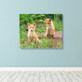 Twee jonge rode vossen in de natuur canvas afdruk (Insitu (Houten vloer))