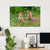 Twee jonge rode vossen in de natuur poster (Thuiskantoor)