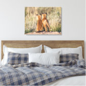 Twee jonge vossen canvas afdruk (Insitu (Slaapkamer))