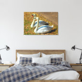 Twee jonge zwanen in het najaar canvas afdruk (Insitu (Slaapkamer))