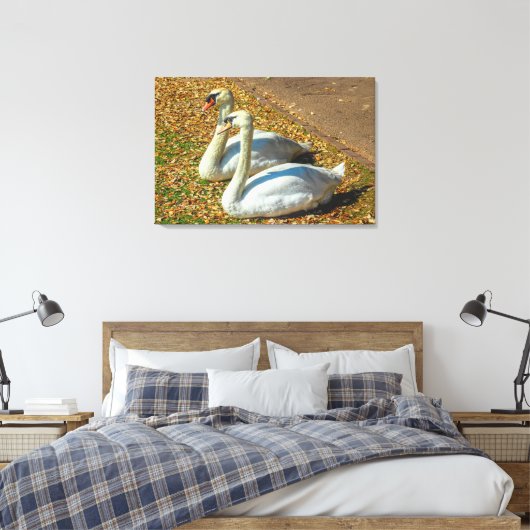 Twee jonge zwanen in het najaar canvas afdruk (Insitu (Slaapkamer))