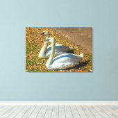 Twee jonge zwanen in het najaar canvas afdruk (Insitu (Houten vloer))