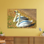 Twee jonge zwanen in het najaar canvas afdruk (Insitu (Woonkamer))