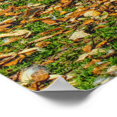 Twee jonge zwanen in het najaar poster (Hoek)