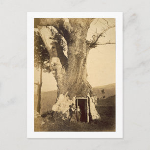 Twee jongens aan de deur van hun tehuis, c.1870 briefkaart