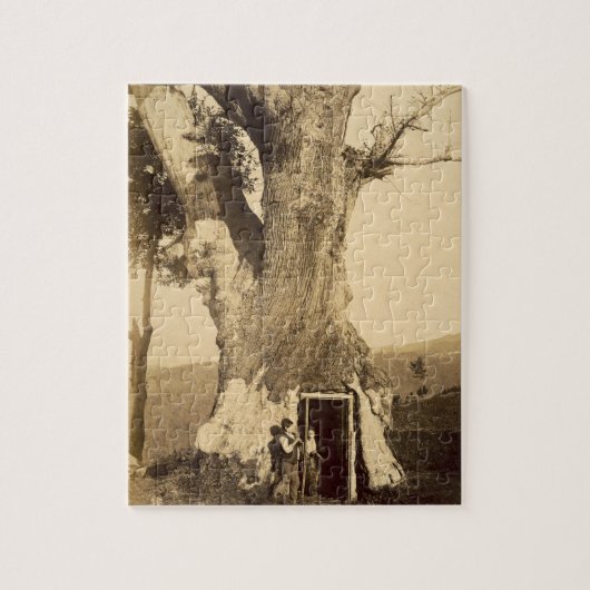 Twee jongens aan de deur van hun tehuis, c.1870 legpuzzel (Verticaal)