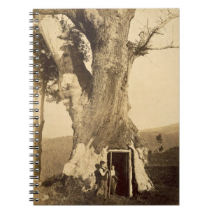 Twee jongens aan de deur van hun tehuis, c.1870 notitieboek