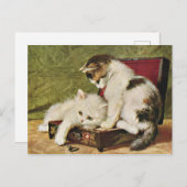 Twee Kaarten voor afspeelbare Kittens (Voorkant / Achterkant)