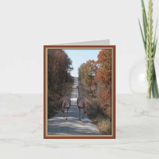 Twee kalkoenen feestdagen kaart (Voorkant)