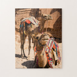 Twee kamelen Egypte Legpuzzel