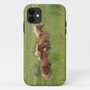 Twee kanterende palominepaarden in een veldfoto Case-Mate iPhone case