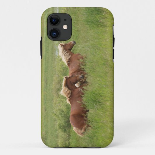 Twee kanterende palominepaarden in een veldfoto Case-Mate iPhone case (Achterkant)