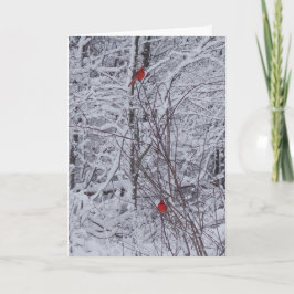 Twee kardinalen 7x5 kerst Kaart