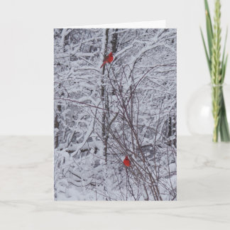 Twee kardinalen 7x5 kerst Kaart