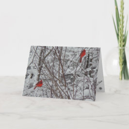 Twee kardinalen voor 5 x 7 kerstkaart feestdagen kaart