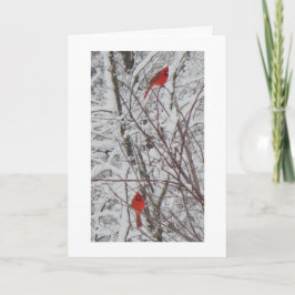 Twee Kardinalen Witte Grens 5x7 Kerst Kaart