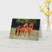 Twee kartonnen paarden in het veld kaart (Gele Bloem)