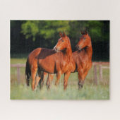 Twee kartonnen paarden in het veld legpuzzel (Horizontaal)