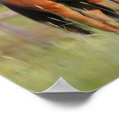 Twee kartonnen paarden in het veld poster (Hoek)