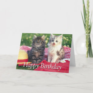 Twee Katjes die op een rood-Gekleurde Deken zitten Kaart