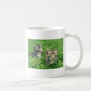 Twee katjes spelen in het gras koffiemok
