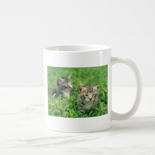 Twee katjes spelen in het gras koffiemok (Rechts)