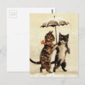 Twee katten één umbrella briefkaart (Voorkant / Achterkant)