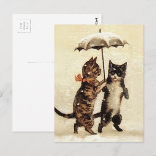 Twee katten één umbrella briefkaart (Voorkant / Achterkant)